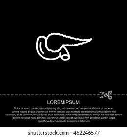 Web line icon. Pancreas
