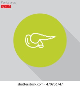 Web line icon. Pancreas