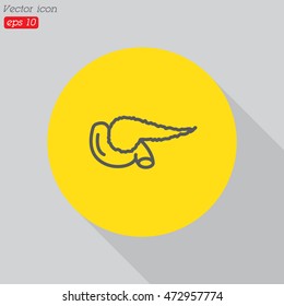 Web line icon. Pancreas