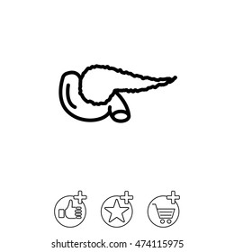 Web line icon. Pancreas