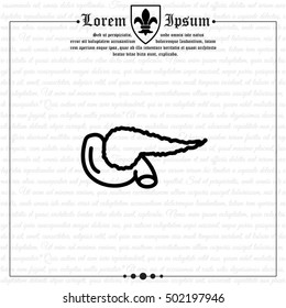 Web line icon. Pancreas