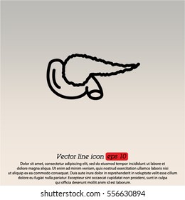 Web line icon. Pancreas