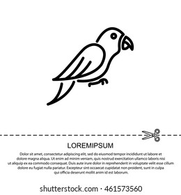 Web line icon. Parrot.