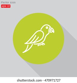 Web line icon. Parrot.