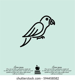 Web line icon. Parrot.