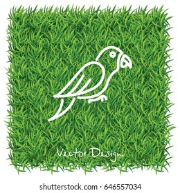 Web line icon. Parrot.