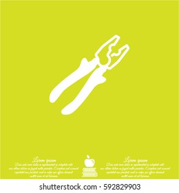 Web line icon. Pliers