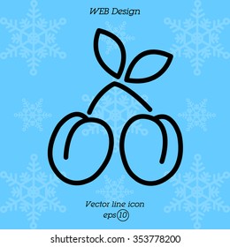 Web line icon. Plum