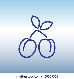 Web line icon. Plum