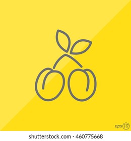 Web line icon. Plum