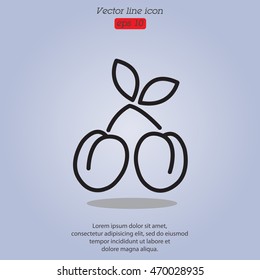 Web line icon. Plum