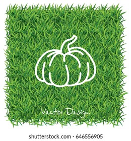 Web line icon. Pumpkin