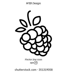 Web line icon. Raspberries