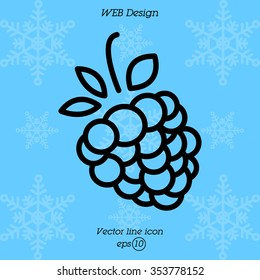 Web line icon. Raspberries
