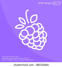 Web line icon. Raspberries