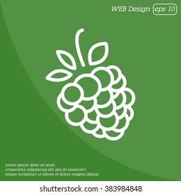 Web line icon. Raspberries