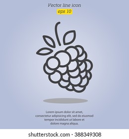 Web line icon. Raspberries