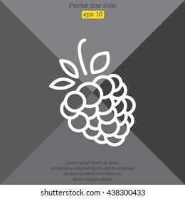 Web line icon. Raspberries
