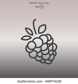 Web line icon. Raspberries
