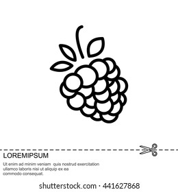 Web line icon. Raspberries