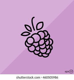 Web line icon. Raspberries