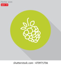 Web line icon. Raspberries
