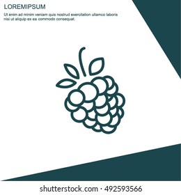Web line icon. Raspberries