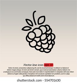 Web line icon. Raspberries