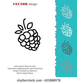 Web line icon. Raspberries