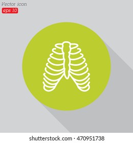 Web line icon. Ribs