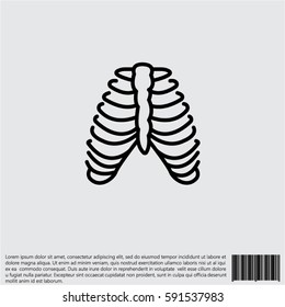 Web line icon. Ribs