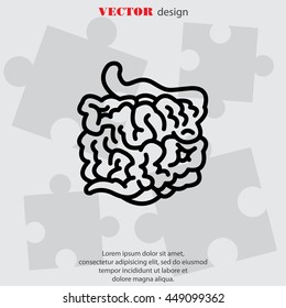 Web line icon. Small intestine