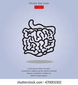 Web line icon. Small intestine