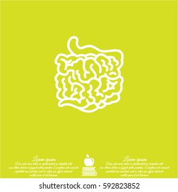 Web line icon. Small intestine