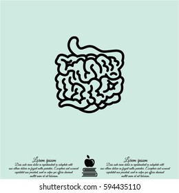 Web line icon. Small intestine