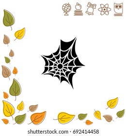 Web line icon. Spiderweb, web icon 