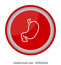 Web line icon. Stomach
