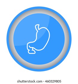 Web line icon. Stomach