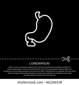 Web line icon. Stomach