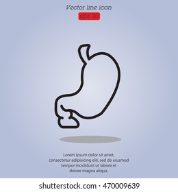 Web line icon. Stomach
