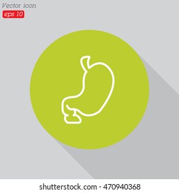Web line icon. Stomach