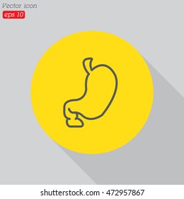Web line icon. Stomach
