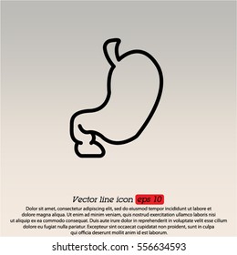 Web line icon. Stomach