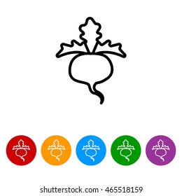 Web line icon. Sugar beet
