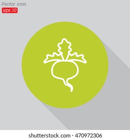 Web line icon. Sugar beet