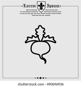 Web line icon. Sugar beet