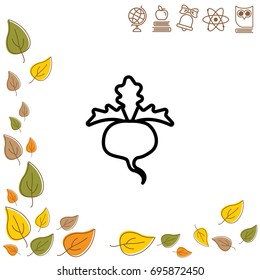 Web line icon. Sugar beet