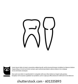 Web line icon. Teeth
