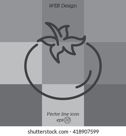 Web line icon. Tomato.