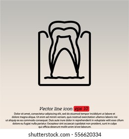 Web line icon. The tooth in the gums, tooth scheme